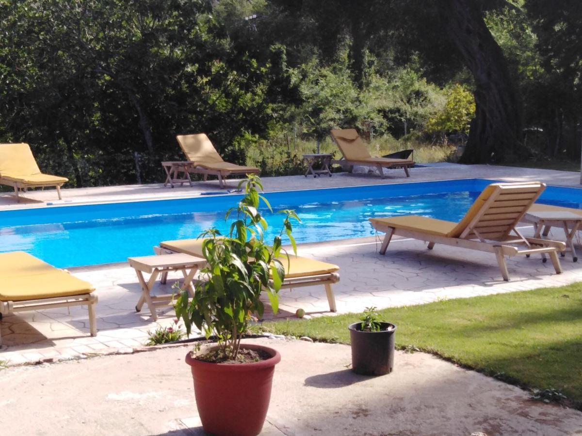Ilias Apartments Ypsos Dış mekan fotoğraf